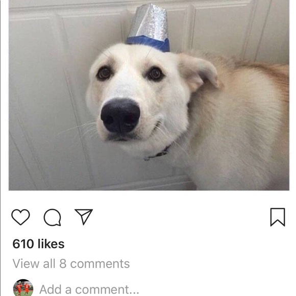 Meet your Posher, George - Picture 1 of 1